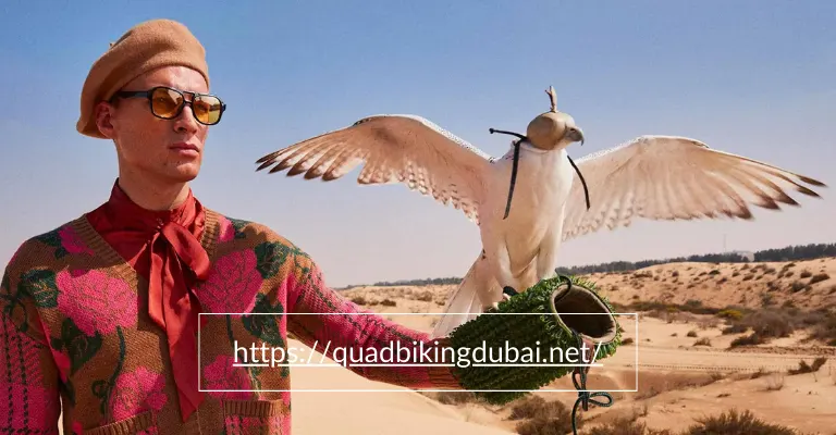 Falconry in Dubai Desert