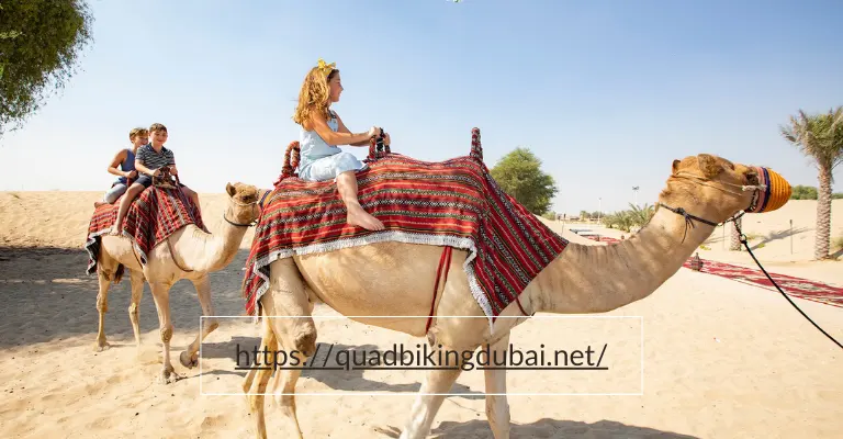 camel ride in Dubai desert